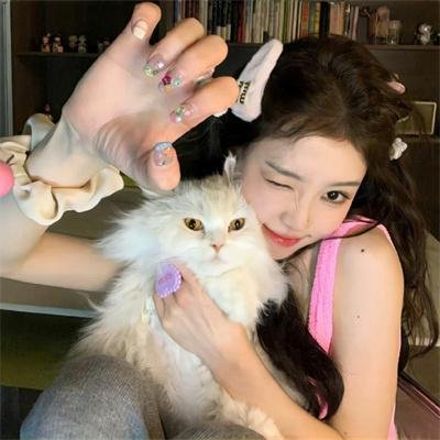 以电影内容为主轴，同时融入电视剧与综艺元素，适合偏好高完成度片单浏览的用户。